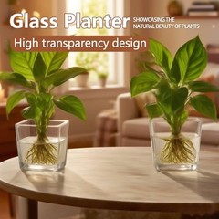 Set of 6 Square Glass Vases for Centerpieces – 4″ x 4″ x 4″ 4in-6pcs Clear