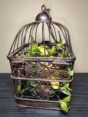 Vintage Decorative Metal Bird Cage French Country Cottage Decor w/Nest and Chick