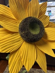 3PCS Giant Artificial Sunflowers 68″ Tall Wedding Event Display Decor