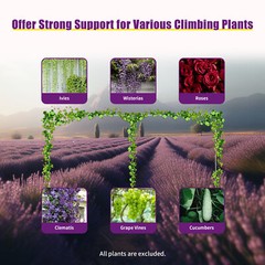 6x3M Background Arch Stage Decoration Party Wedding Supplies Metal Frame