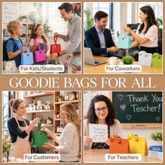 Small Gift Bags with Ribbon Handles Multicolor Small Size / 10 Pack 10 Colors