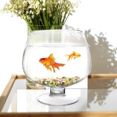 Clear Bubble Bowl Glass Fish Bowl Terrarium Globe Flower Vase Hydroponic Vase