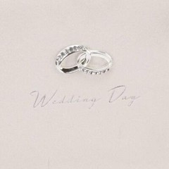 Amore Suede Wedding Photo Album with Silver Rings WG273