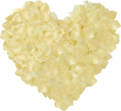 1000 Pcs Artificial Silk Rose Petals Decoration Wedding Party Color Ivory