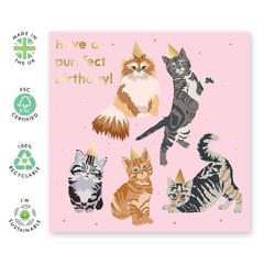 CENTRAL 23 — Cute Birthday Card for Her – Cats ‘Purrfect Birthday’ – For M