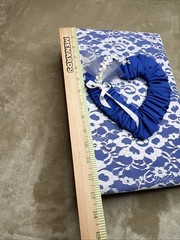 Vtg Blue White Floral Lace Photo Album 3-Ring Binder Grannycore Cottage-core