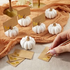 Kate Aspen Rustic, Thanksgiving, White Pumpkin Place Card Holder (Set of 12)