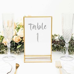 Gold Clear 6 Acrylic 5″x9″ Freestanding Double Sided Table Sign Holders Party