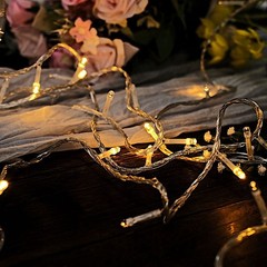 22 feet Warm White 100 LED Lights Garlands Wedding Centerpieces Decorations