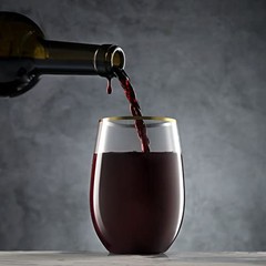 30 Pack Stemless Plastic Wine Glasses – 16 Oz – BPA Free Disposable Wine