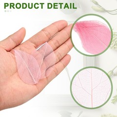100Pcs Light Pink Skeleton Leaves, 2″- 3″ Rubber Tree Scrapbooking