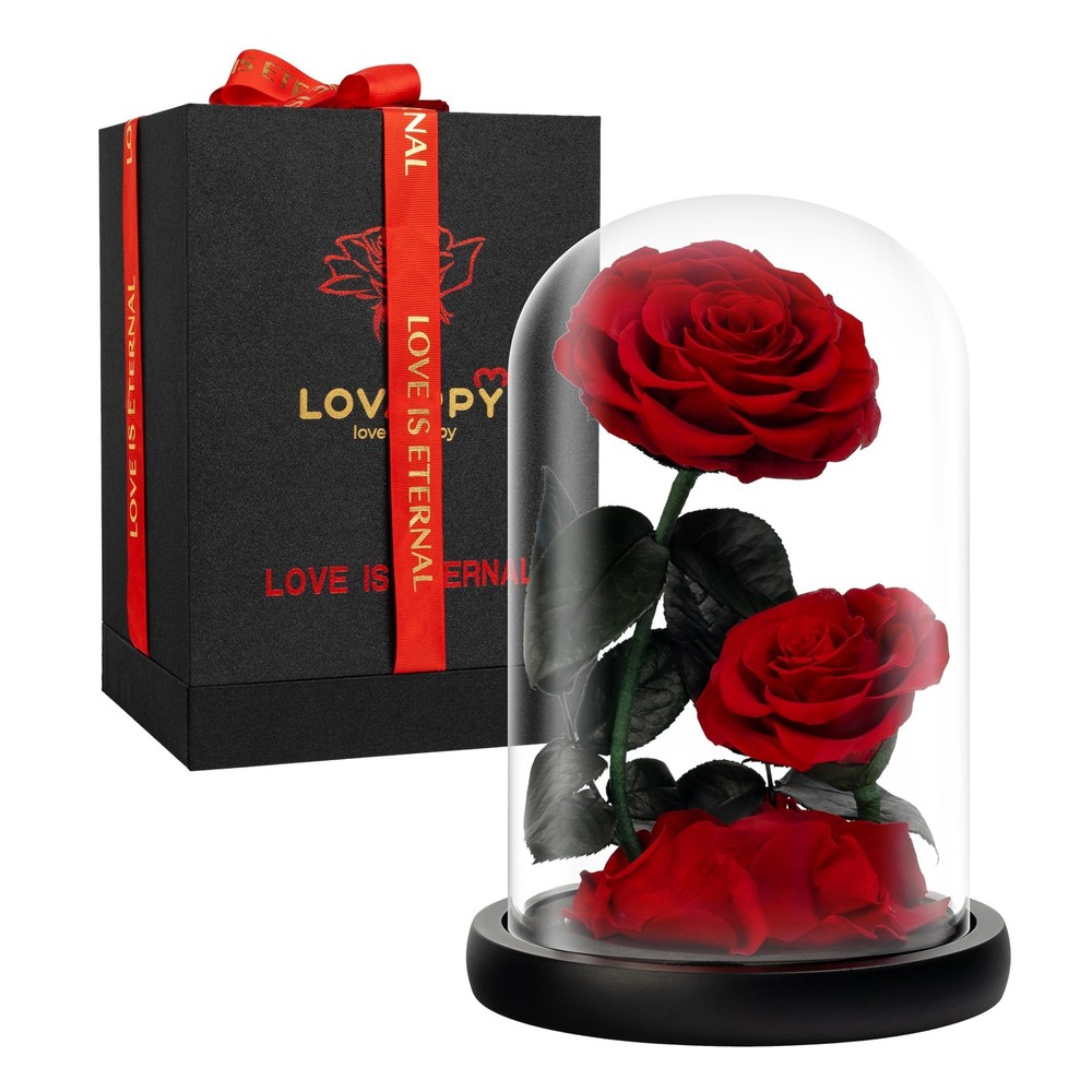 LOVAPPY Eternal Flower in a Glass Dome: Preserved Rose – Large, Red-double