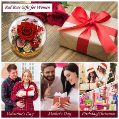 Red Rose Mothers Day Gifts for Mom Forever Flowers D3-