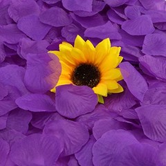 obmwang 2000 PCS Artificial Silk Rose Petals for Wedding Party Favors Purple
