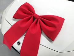 ITALY DESIGNER WEDDING CAR DECO – PETIT KINGWANGZZANG BIG GIANT SIZE RIBBON