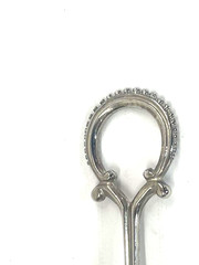 Elegant Rose Pattern Bouquet Tussie Mussie Silver Plated w/Chain -Vintage Style