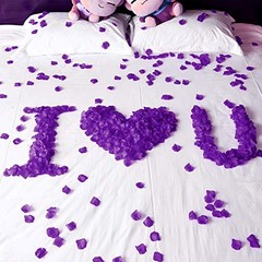 obmwang 2000 PCS Artificial Silk Rose Petals for Wedding Party Favors Purple