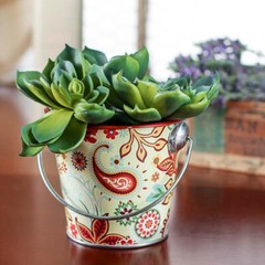 Bulk Lot of 10 Retro Inspired Floral and Paisley 3-1/2″ Metal Favor Buckets