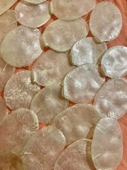 Lot Of 43 Loose Preserved Iridescent White Lunaria Silver Dollar Petals