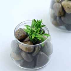 2 lbs Assorted Brown Natural Gravel Pebble Stones Decorative Party Vase Fillers