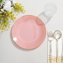 DUSTY ROSE 10 Glossy 8″ Round Plastic Salad PLATES Gold Rim Party Events