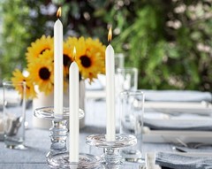 BOLSIUS 10 Count Household White Dinner Candles – 9 Inches – 10 Count,