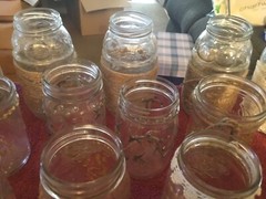Assorted Decorated Jar w/8 Battery Operated Candle Lights
