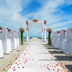 Aisle Runner, White, 3×100 Feet, 50g – Indoor & Outdoor Use, Wedding Decorations