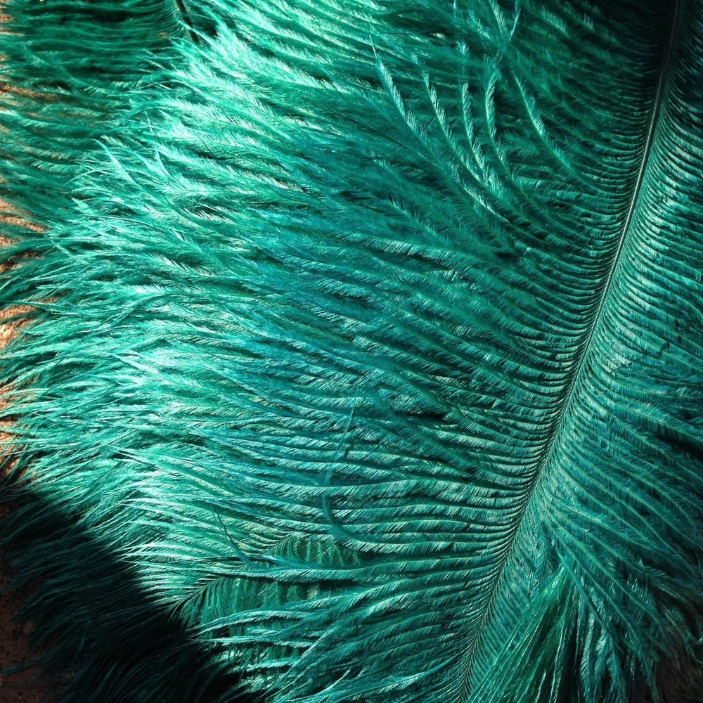 Teal Ostrich Feathers 12-14 inches 100 Pieces(GA, USA)
