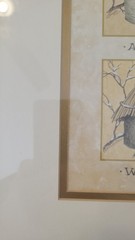 Gold Framed/Matted 23″ x11″ Picture 4 Birds And Nests – East Season Shown, VG
