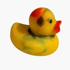 Mini Rubber Ducky Hipster Couple Pair Duckies Lot 2