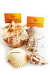 Set of 6 Genuine Seashell Card Holders – Beach Wedding / Event – Real Shells