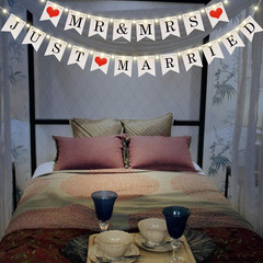 Mr and Mrs Just Married Banner, Wedding Bunting Banner with LED Fairy String Lig