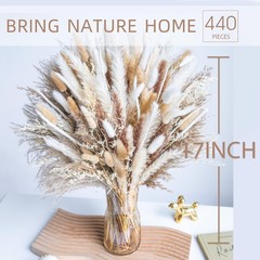440PCS Natural Dried Pampas Grass Boho Home Decor Bouquet Phragmites Dried Fl…