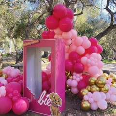 Hot Balloons Garland Arch Kit 180pcs with Star – 22 18 12 10 5in Different Pink