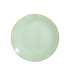 SAGE GREEN 10 Glossy 10″ Round Plastic Salad PLATES Gold Rim Party Events