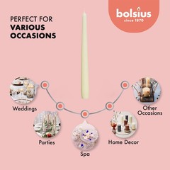 Bolsius 20 Count Unscented 10 Inch Ivory Household – 8 Hours –