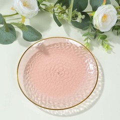 TRANSPARENT BLUSH 10 Glossy 8″ Round Plastic Salad PLATES GOLD Rim Party Events