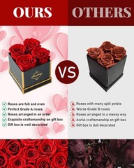 Changshunqi Forever Flowers, Preserved Roses in a Box, Eternal Rose Red