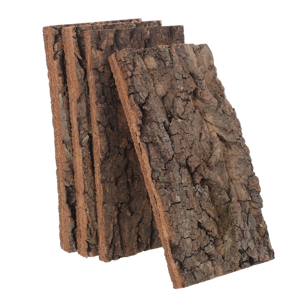 4 Pcs Natural Bark Decoration Wood Pieces Terrarium Tree Carving for Crafts