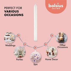 BOLSIUS 10 Count Household White Dinner Candles – 9 Inches – 10 Count,