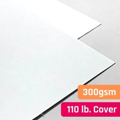 25 Pieces, (110 lb/300 gsm) – White 12 x 12 inches (25 Sheets),