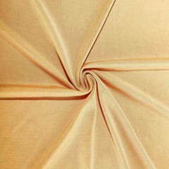5 ft x 10 ft CHAMPAGNE 4-Way Stretch Spandex Divider Backdrop Curtain Wedding