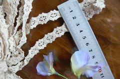 Cluny Cotton Insert Lace CHAMPAGNE CREAM 12mmWide 5 Metre Length – ft259CLUNY