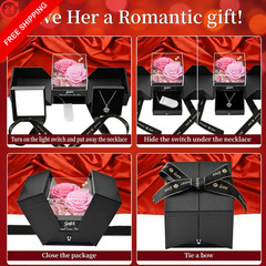 Preserved Pink Real Rose with I Love You in 100 Languages 4.33 inches,