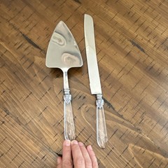 2pc Stainless Steel Cake Knife & Server Set, Clear Solid Plastic Handles