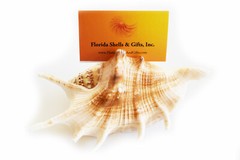 Set of 6 Genuine Seashell Card Holders – Beach Wedding / Event – Real Shells