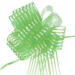 5pcs 8 Inch Organza Large Pull Bows Gift Wrapping Bows Ribbon Fruit Green