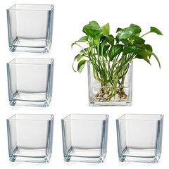 Set of 6 Square Glass Vases for Centerpieces – 4″ x 4″ x 4″ 4in-6pcs Clear