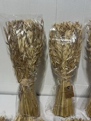 8 Pack Brown Dried Wheat Bundle, Wedding Decor 8x5x17, Individually Wrapped